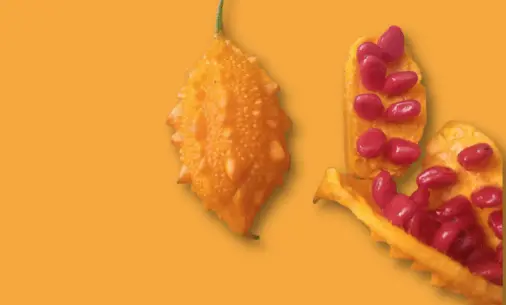 2.2 nature fruits